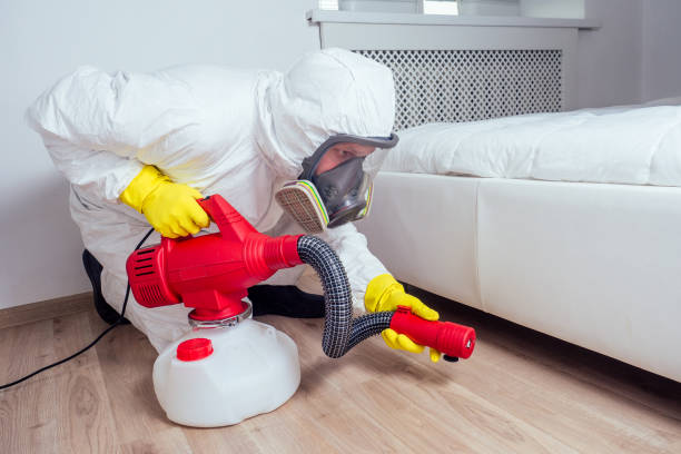 Reliable Brentwood, CA Pest Control Solutions